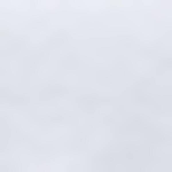 Thumbnail - PEAK PERFORMANCE Damen Shirt W Explore Graphic Tee-WHITE-BRILLIANT RE