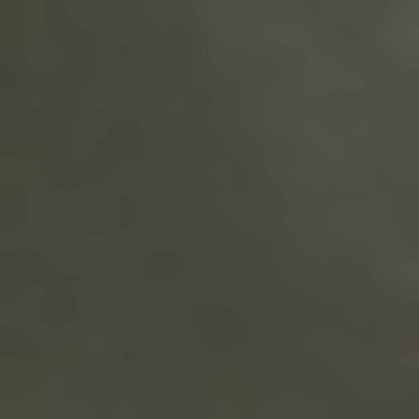 Thumbnail - PEAK PERFORMANCE Damen Kapuzensweat W Rider Zip Hood-PINE NEEDLE-PINE NEEDLE