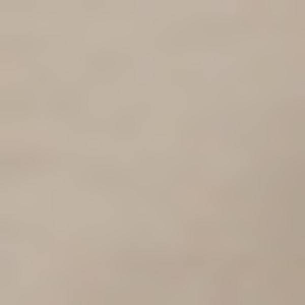 Thumbnail - PEAK PERFORMANCE Damen Shorts W Iconiq Shorts-AVID BEIGE