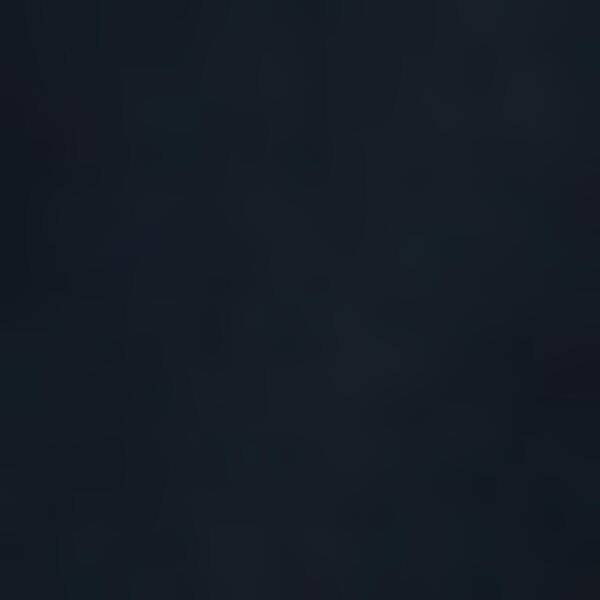 Thumbnail - PEAK PERFORMANCE Herren Sweatshirt M Freelight Polartec Grid-BLACK