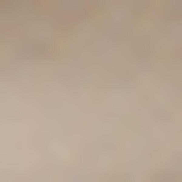 Thumbnail - PEAK PERFORMANCE Damen Shorts W Player Shorts-AVID BEIGE