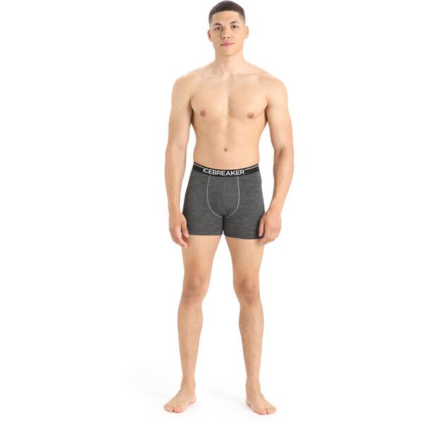 Thumbnail - ICEBREAKER Herren Funktionsunterhose / Unterhose "Men´s Anatomica Boxers"