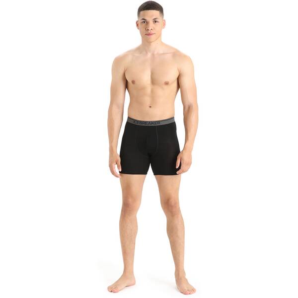 Thumbnail - ICEBREAKER Merino Herren Unterhose Anatomica