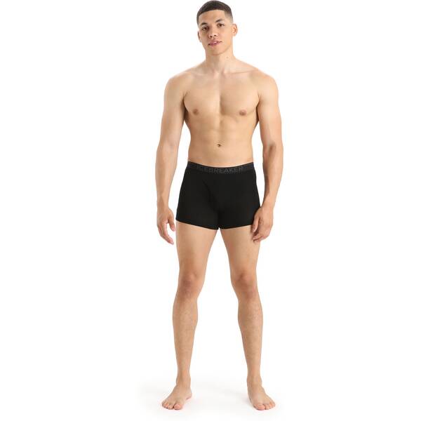 Thumbnail - ICEBREAKER Herren Boxershorts "Everyday Boxers"