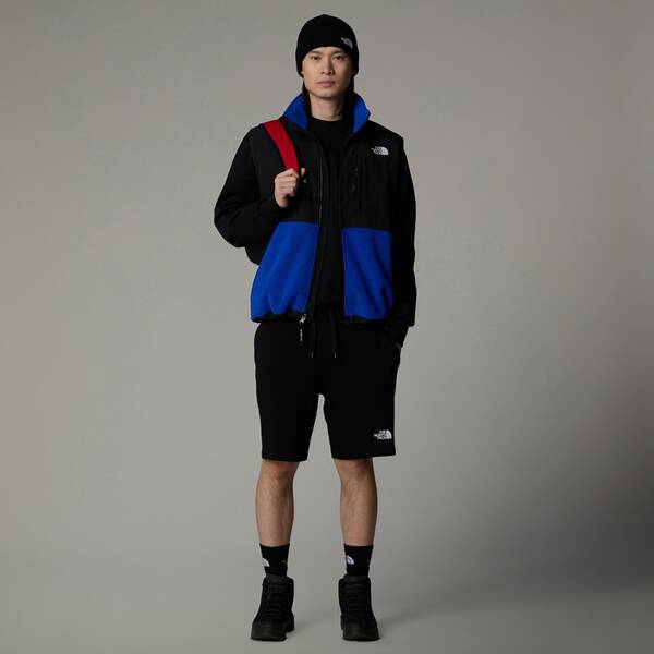 Thumbnail - THE NORTH FACE Herren Hose M GRAPHIC SHORT LIGT