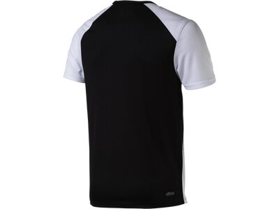 PRO TOUCH Herren Shirt Cup Schwarz