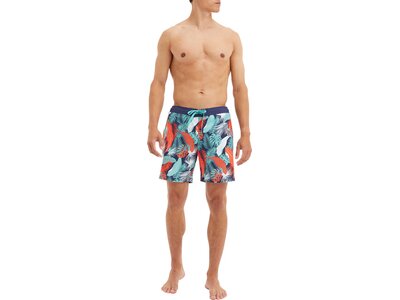 FIREFLY Herren Badeshorts Nigel M Silber