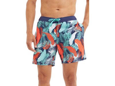 FIREFLY Herren Badeshorts Nigel M Silber