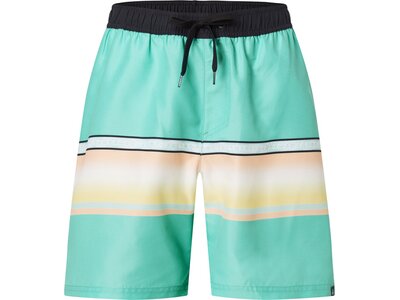 FIREFLY Herren Badeshorts Mario M Grün