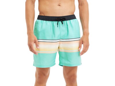 FIREFLY Herren Badeshorts Mario M Grün