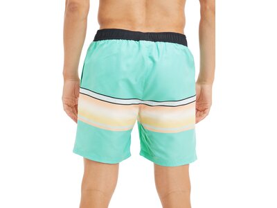 FIREFLY Herren Badeshorts Mario M Grün