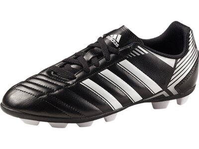 Adidas Kinder Fussballschuhe Puntero Viii Trx Hg Online Kaufen Bei Intersport