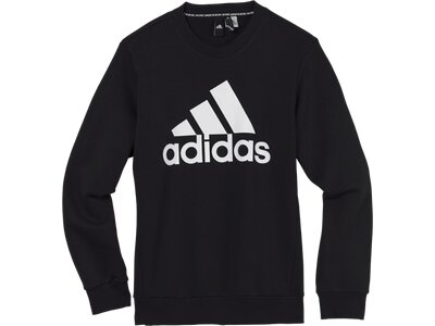 ADIDAS Herren Must Haves Badge of Sport Sweatshirt Schwarz