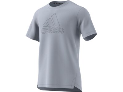 ADIDAS Herren Shirt M BOS PB TEE Grau