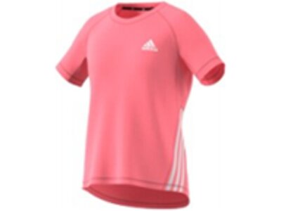 ADIDAS Kinder Shirt G AR 3S TEE Pink