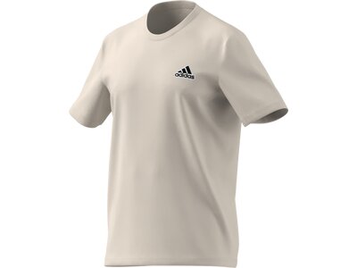 ADIDAS Herren Shirt M FCY T Grau