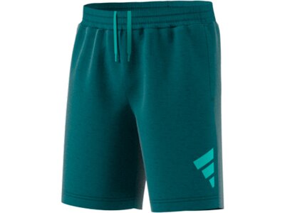 ADIDAS Kinder Shorts B 3 BAR SHORT Grün