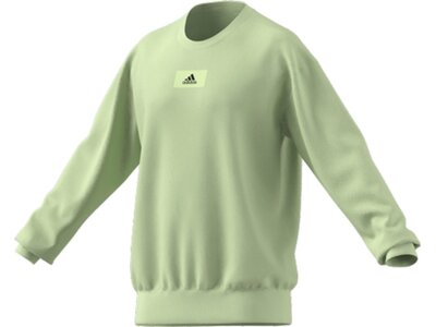 ADIDAS Herren Sweatshirt M FV SWT Braun