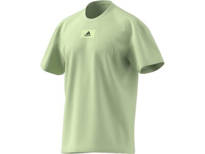 ADIDAS Herren Shirt M FV T Grau