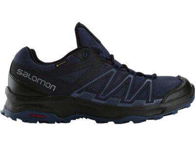 SALOMON Herren Outdoorschuh LEONIS GTX Blau