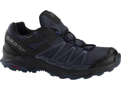 SALOMON Herren Outdoorschuh LEONIS GTX Blau