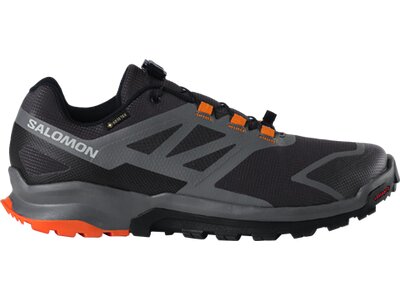 SALOMON Herren Trailrunningschuhe SHOES XA NEKOMA GTX Phantm/QuSh/Vibrant Grau