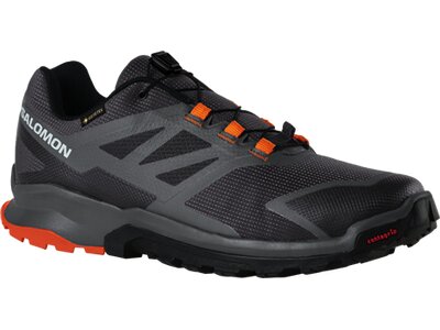 SALOMON Herren Trailrunningschuhe SHOES XA NEKOMA GTX Phantm/QuSh/Vibrant Grau