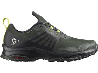 SALOMON Herren Multifunktionsschuhe SHOES X-RENDER GTX Peat/Black/Evening Pr Grau