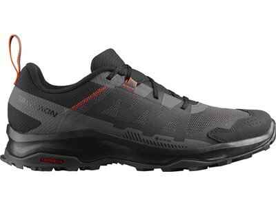 SALOMON Herren Multifunktionsschuhe SHOES ARDENT GTX Black/Mgnt/Sc Schwarz