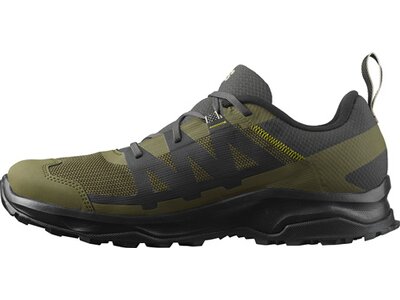 SALOMON Herren Multifunktionsschuhe SHOES ARDENT GTX Peat/OlvNig/M Schwarz