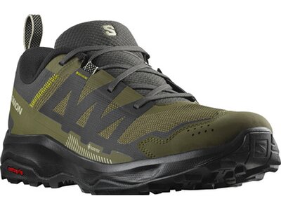 SALOMON Herren Multifunktionsschuhe SHOES ARDENT GTX Peat/OlvNig/M Schwarz