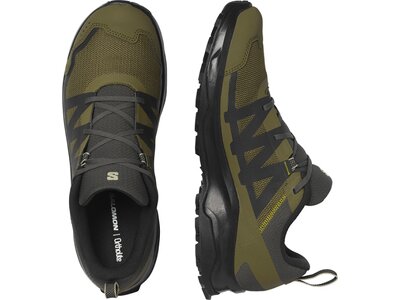 SALOMON Herren Multifunktionsschuhe SHOES ARDENT GTX Peat/OlvNig/M Schwarz