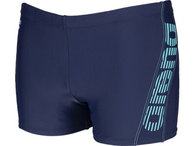 arena Herren Badeshorts Byor Evo Blau