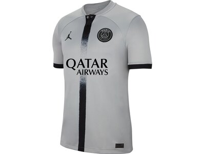 NIKE Herren Fantrikot PSG M NK DF STAD JSY SS AW Silber