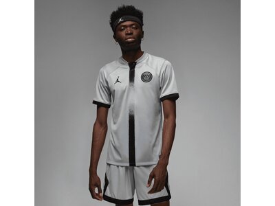 NIKE Herren Fantrikot PSG M NK DF STAD JSY SS AW Silber