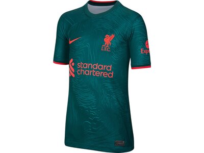 NIKE Kinder Fantrikot FC Liverpool 22/23 Grün