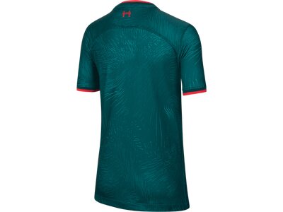 NIKE Kinder Fantrikot FC Liverpool 22/23 Grün