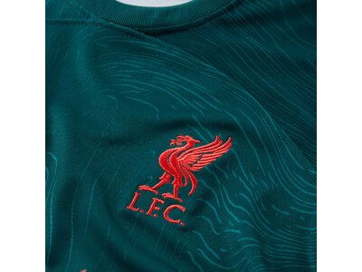 NIKE Kinder Fantrikot FC Liverpool 22/23 Grün