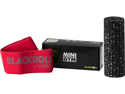 BLACKROLL MINI GYM Rot
