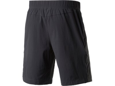 THE NORTH FACE Herren ShortsExtent II Grau