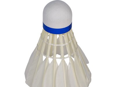 PRO TOUCH Badminton-Ball SP 900 Weiß