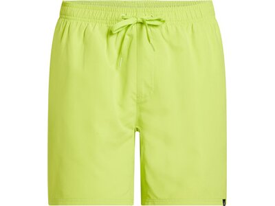 FIREFLY Herren Badeshorts He.-Badeshorts Ken III M Grün