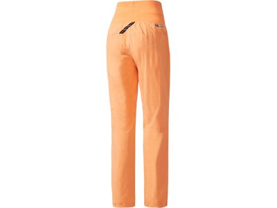ADIDAS Damen Hose TERREX Felsblock Hose Braun