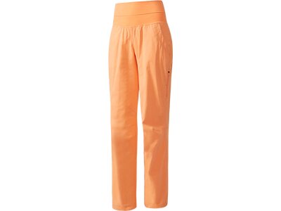 ADIDAS Damen Hose TERREX Felsblock Hose Braun