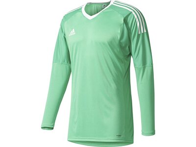 ADIDAS Herren Trikot REVIGO 17 GK Blau