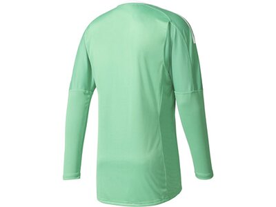 ADIDAS Herren Trikot REVIGO 17 GK Blau