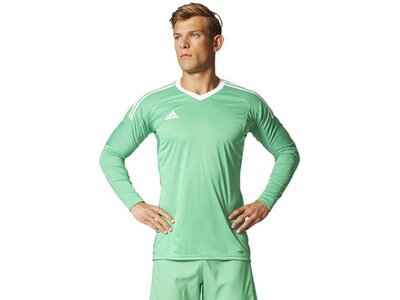 ADIDAS Herren Trikot REVIGO 17 GK Blau