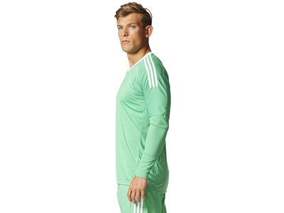 ADIDAS Herren Trikot REVIGO 17 GK Blau