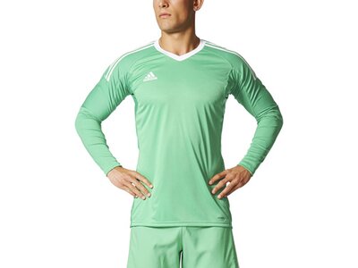 ADIDAS Herren Trikot REVIGO 17 GK Blau