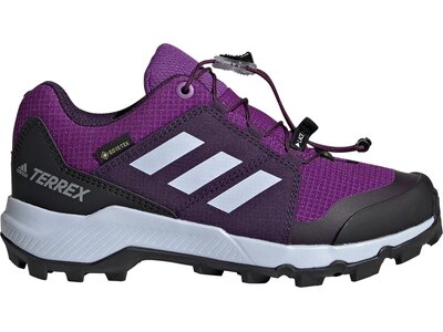 ADIDAS TERREX GTX Schuh online kaufen bei INTERSPORT!